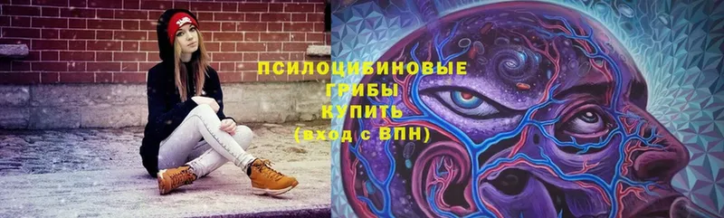 Галлюциногенные грибы Cubensis  Добрянка 